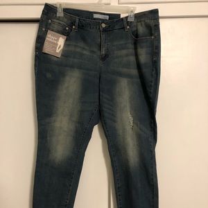 Cato Classic Denim Jeans Size 20